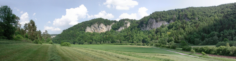 Donautal bei Mühlheim