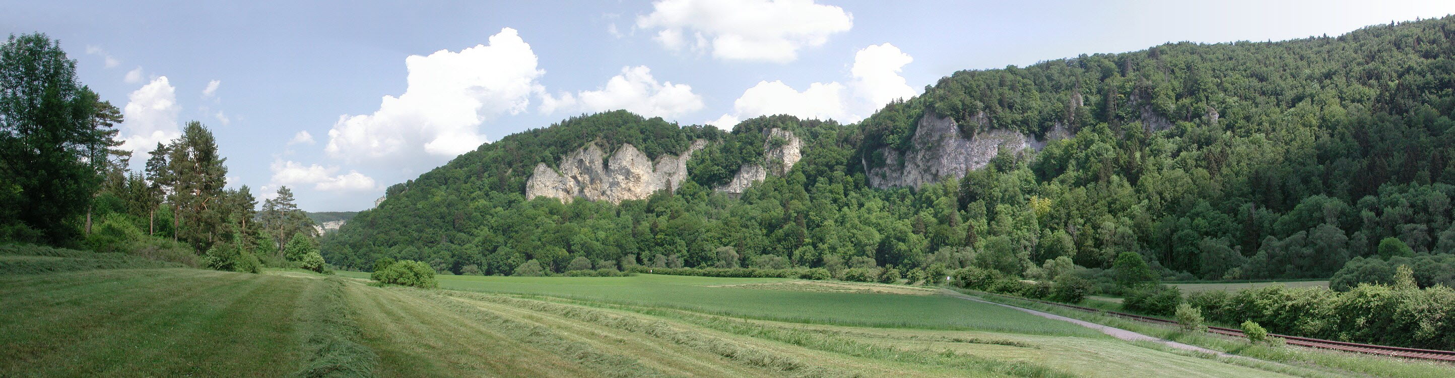 Donautal bei Mhlheim